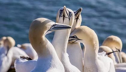 蘑菇短视频隐藏细节：发布节奏原来是这么安排的｜看完再骂我